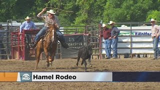 Hamel Rodeo Celebrates 36 Years [upl. by Maurine]