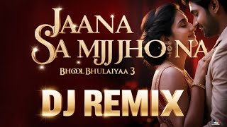 Bhool Bhulaiyaa 3 Jaana Samjho Na Dj Remix Song Zee Gold Music [upl. by Ydiarf873]