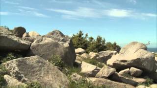 Der Harz  ein Märchengebirge [upl. by Nagel]