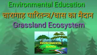 Grassland Ecosystem घास का मैदान चारागाह पारितन्त्र [upl. by Brodie]