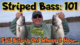 Lake Wateree Striper Fishing with Getem Greg Fishing [upl. by Suk]