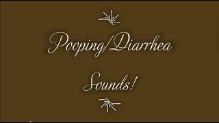 PoopingDiarrhea Sounds Part 2 [upl. by Buckingham]