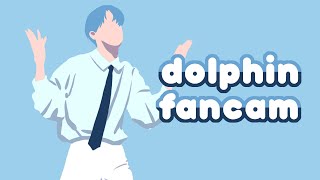 soobin dolphin fancam rotoscope [upl. by Hathcock848]