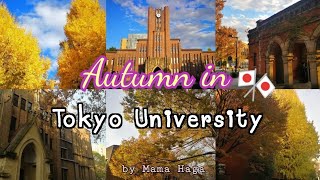 94 VLOGแม่บ้านญี่ปุ่น วันหยุดเข้าโตเกียว เดินเล่นดูใบไม้เปลี่ยนสีที่ Tokyo University 🍁🍂🍁 [upl. by Peacock569]