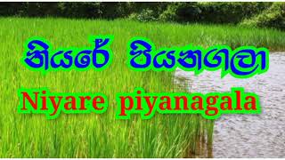 à¶±à·’à¶ºà¶»à·š à¶´à·’à¶ºà¶±à¶œà¶½à·  Niyare piyanagala song [upl. by Maryn]