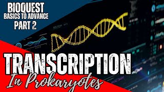 Transcription in Prokaryotes  Part 2  Transcription  CSIR NET December 2024  Basics to Advance [upl. by Myrta]