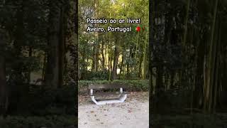 Aveiro Portugal 🇵🇹 passeionoparque passeio aveiro aveiroportugal portugal parque [upl. by Sletten]