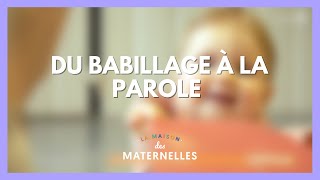 Du babillage à la parole  La Maison des maternelles LMDM [upl. by Hubert271]