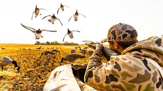 DUCK HUNTING CANADA  AN ORIGINAL FILM [upl. by Mattland]