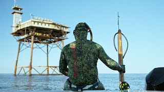 Spearfishing and Volunteering at the Frying Pan Tower [upl. by Kilan]