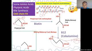 lipid 59 Propionic acid pathway High yield for USMLE step 1 [upl. by Neil]