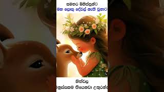 flute music instrumental bgm song foryou follow [upl. by Lorolla]