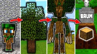 BAUM LEBENSZYKLUS in MINECRAFT  Vom SETZLING zum KÖNIG [upl. by Yolane]