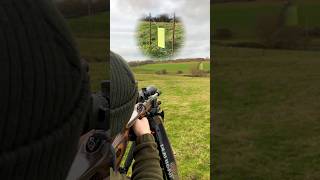 The Silent Assassin 22LR Vs 100 Yard Steel Gong [upl. by Innos]