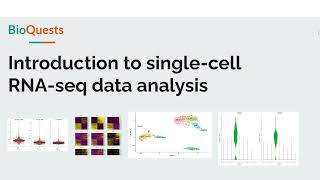 Analysis of single cell RNAseq data  Video series [upl. by Otsuj]