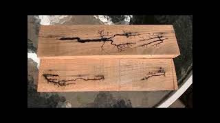 Lichtenberg Machine  Fractal Wood Burning [upl. by Gisele]