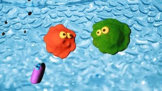 The Two Amoebas 1 The World Around Us Claymation [upl. by Aivek]