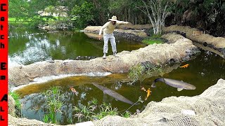 BUILDING My PET FISH a GIANT NATURAL POND in BACKYARD [upl. by Pelson]