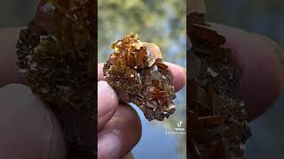 Wulfenite flowergemstone fineminerals wulfenite mineralspecimen [upl. by Kinsler]