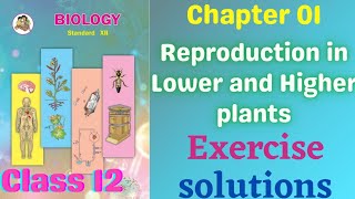 Reproduction in lower and higher plants class 12 biology exercise solutions [upl. by Mag]