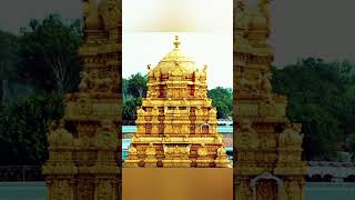 ttdtemple ttd vimanavenkateshwaraswamy tirumalatirupati tirupatidevasthanam youtubeshorts [upl. by Ikcir233]