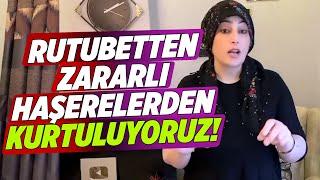 Rutubetten ve Zararlı Haşerelerden Kurtuluyoruz  Temizlik Kraliçesi [upl. by Aieka]