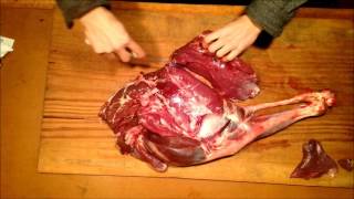 Butchering Processing Hind Quarter of a Deer muscle groups [upl. by Pallua]