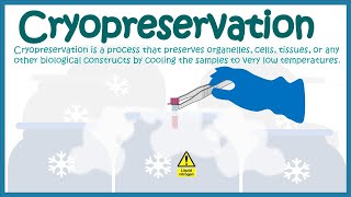 Cryopreservation  application and mechanism [upl. by Bowra138]