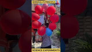 bernoullis principle  science experiments physics science shorts [upl. by Havstad768]