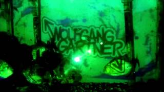 WOLFGANG GARTNER  PIRANHA OUT NOW ON BEATPORT [upl. by Nasya]