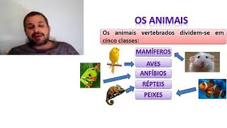 Animais Vertebrados e Invertebrados [upl. by Bree600]