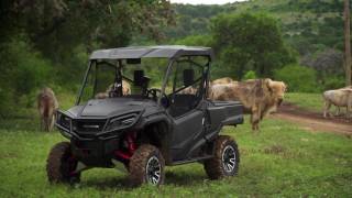 HONDA PIONEER 1000 LE Review  Highlight reel [upl. by Eecyaj]