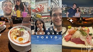 Viaggio di nozze in Giappone  Osaka Ishigaki Okinawa Tokyo Harry Potter Studios e Nikko [upl. by Enelyahs]