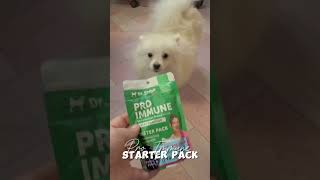 This is an essential treats for your dogs 🫶🐾 proimmune drshiba drshibafunctionaldogsnacks [upl. by Amiel]