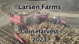 Larsen Farms Corn Harvest 2023 [upl. by Mccord]