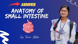 Anatomy of Small Intestine Jejunum and Ilium  Bangla Demonstration of Small Intestine [upl. by Charlotte]