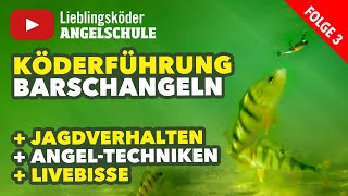 Köderführung zum Angeln auf Barsche mit dem Gummifisch Staffel 1 Folge 3 [upl. by Dranyar]