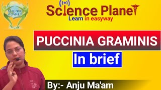 Puccinia graminis tritici Wheat Rust in brief By Anju Maam SCIENCE PLANET BIOLOGY [upl. by Kimmy]