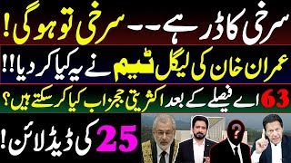 What Majority Judges May Do After 63 A Decision Details by Essa Naqvi [upl. by Moira]