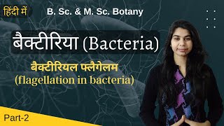 Bacteria in Hindi बैक्टीरिया हिंदी में  flagellation in bacteria  Botany  B Sc amp M Sc [upl. by Hadwyn380]