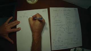 Polymerization reactions [upl. by Farwell]