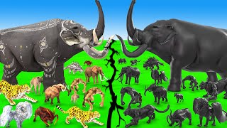 ARBS Prehistoric Mammals vs ARK Shadow Itself Mammals Size Mammoth Vs Elephant Animal Epic Battle [upl. by Barna]