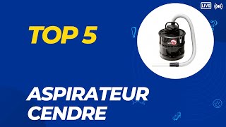 Top 5 Meilleur Aspirateur Cendre 2024  Les 5 Aspirateur Cendre Modèles [upl. by Blaire]