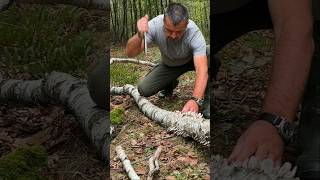 Survival Skills Fire Starting with Wet Birch Bark and Magnesium survival camping lifehacks [upl. by Allesor]