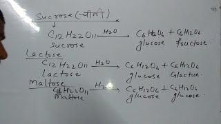 GlucosefructoseLactoseSucroseglactoseampMaltose का संरचना सूत्र details [upl. by Lenehc]