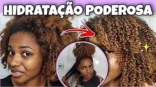 RECUPERE SEU CABELO CRESPO RESSECADO HIDRATAÇÃO PODEROSA [upl. by Eira]