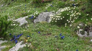 Vom Seebensee zur Coburger Hütte Teil 2 [upl. by Oemac51]