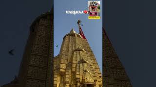 Ambaji Mandir Ambe Maa Darshan 2024  Bhadarvi poonam 2024  Navratri mangalam Trgujarati [upl. by Kcirdot]