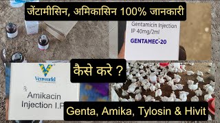 Genta Amikacin Injection for Poultry  इंजेक्शन की डोज़ कैसे बनाएं  Tylosin For Broiler [upl. by Traver853]