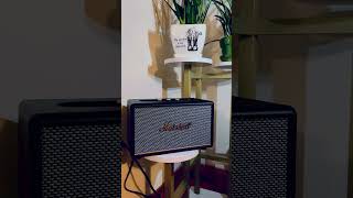 Marshall Acton III shorts marshall bluetoothspeaker [upl. by Mond]